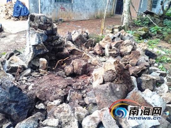 40多年树龄的黄花梨被卖掉只留下树坑(南海网记者刘培远摄)