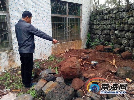 村民指认被挖掉的野生黄花梨树坑(南海网记者刘培远摄)