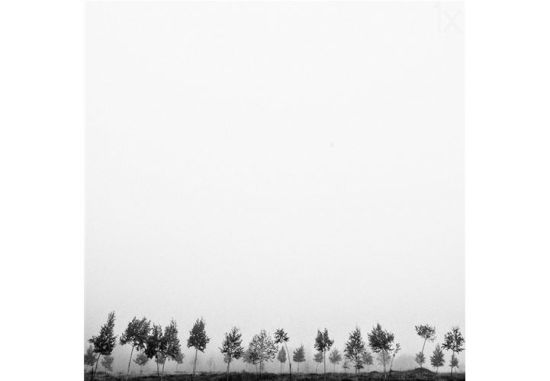 年末观极简摄影 为视觉减压