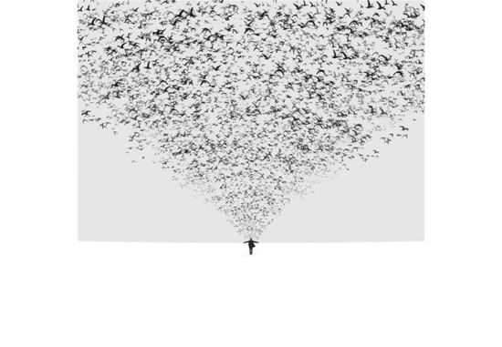 年末观极简摄影 为视觉减压