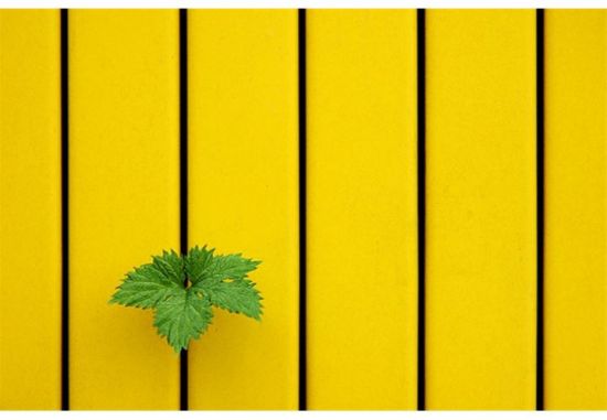 年末观极简摄影 为视觉减压