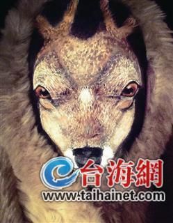 英国化妆师将脸画成麋鹿 未借助特效