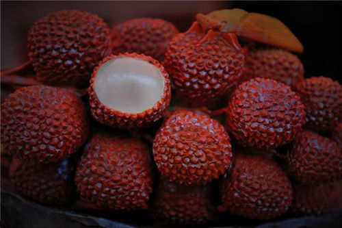 佛山奇石展摆石头宴