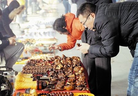 塘沽古玩街正式开街