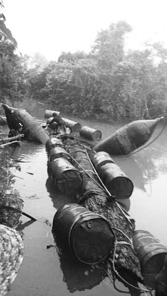 河中打捞乌木现场