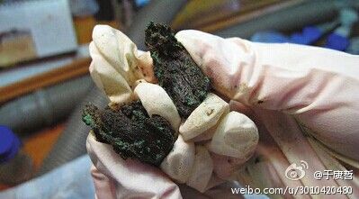 陕西临潼墓葬群出土战国时期牛肉 