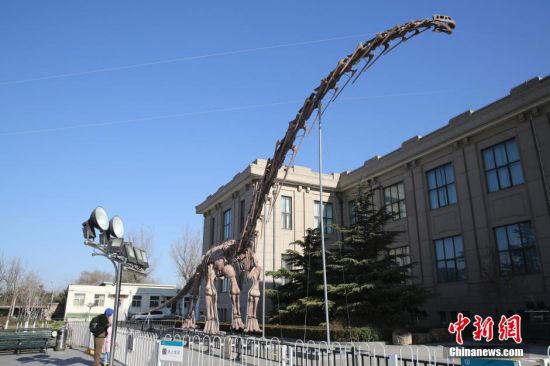 世界上最大的恐龙复原骨架巨型汝阳龙