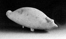 5000年前的“囧江豚”