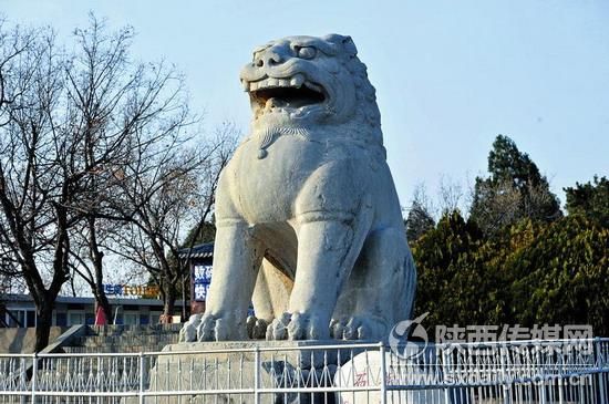 被“洗澡”明显发白的石狮子