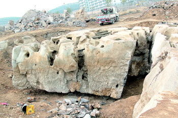 这块巨石在警察学院的后山上被发现。（于洋　摄）