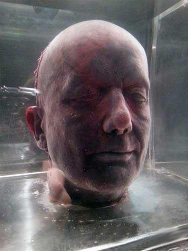 马克•奎恩的作品《自己》