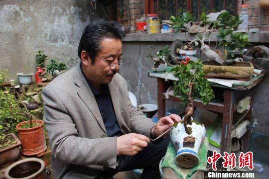 图为何文华修改废旧瓷瓶，创作盆景。郑兵　摄