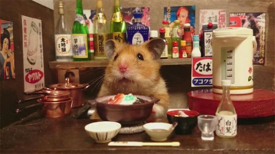 摄影师打造迷你日本酒吧 超萌仓鼠出任“酒保”