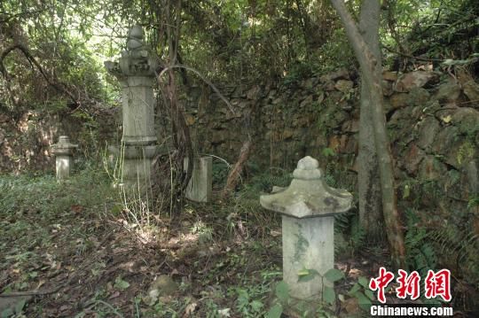 图为南京栖霞山密林中的比丘尼寿塔。　田雯　摄