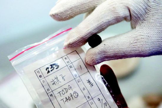 大明宫官署遗址出土珍贵文物