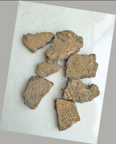 牛坡洞遗址出土的绳纹陶片 资料图片