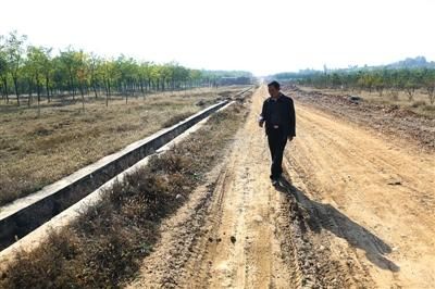 10月17日，房山区南正村，当年的古墓群考古现场已经回填成树林。新京报记者 浦峰 摄