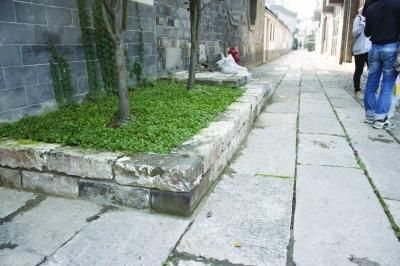 南京现明城砖砌的花坛 有清晰的阳刻砖文