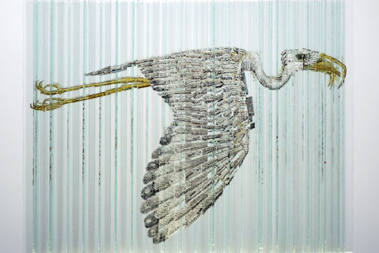 飞鸟与鱼的若即若离：艺术家手绘的玻璃装置艺术