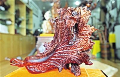 陈国平设计的白菜栩栩如生