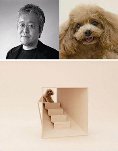 原研哉为茶杯贵宾犬设计的迷你狗屋