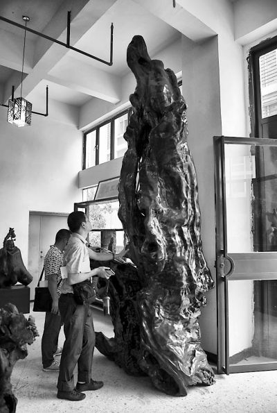 价值数百万的金丝楠木