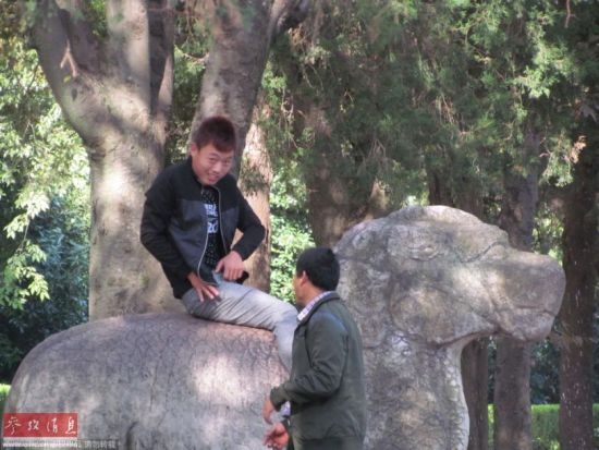 游客攀爬合影：明孝陵文物遭毒手