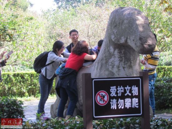 游客攀爬合影：明孝陵文物遭毒手