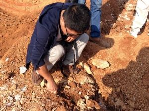 挖掘机唤醒沉睡500年夫妻