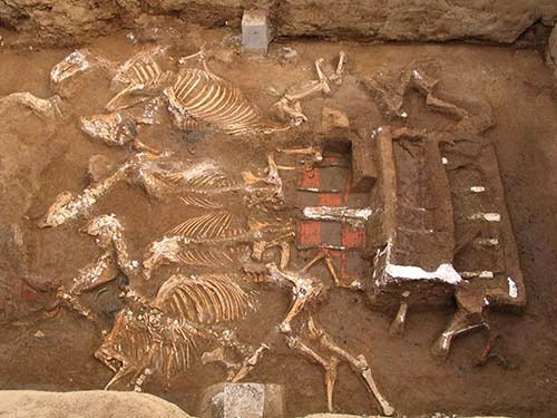 西安财院秦墓出土的“天子驾六”（陕西省考古研究院 图）