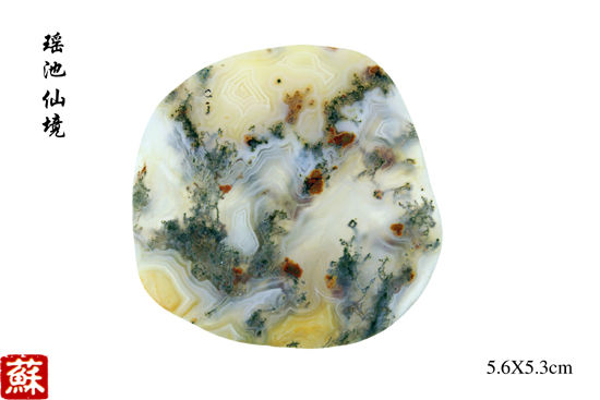 花了4年淘来的“瑶池仙境”。