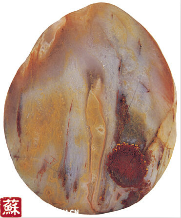 美丽的“黛玉观花”。