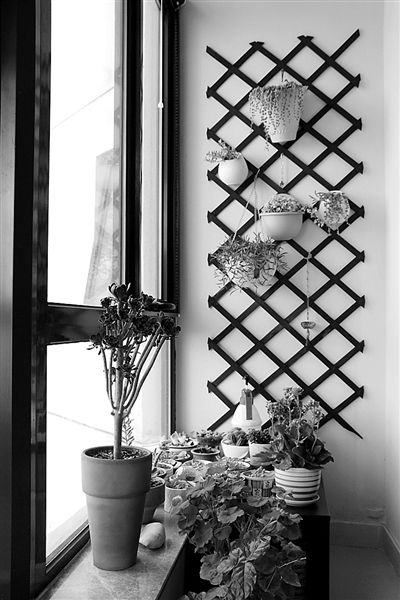 种了绿植的阳台成为客厅的“小花园”。