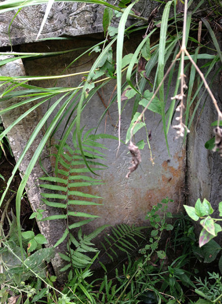 这篇杂草丛生的土堆，便是梁冬云等人在2001年盗掘的苏元春夫人谢氏之墓。澎湃新闻 程艺辉 图