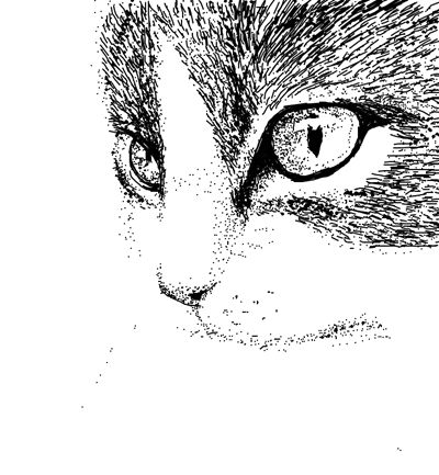 猫奴攻陷798：艺术圈里的喵星人