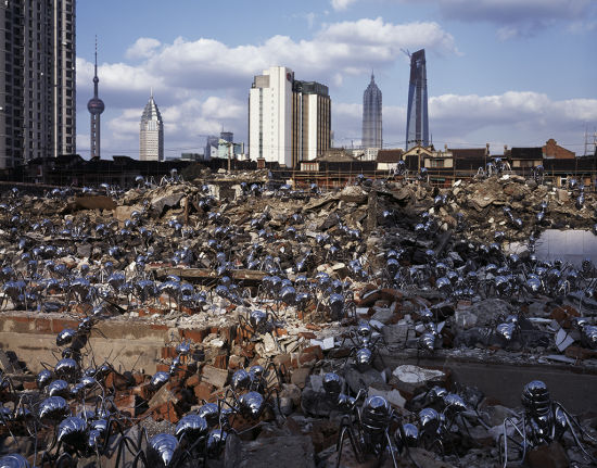 陈志光，《迁徙时代》，185×150cm，摄影图片，2008