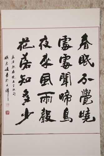 臧志建书法作品