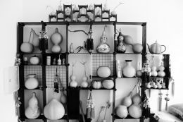 张远和他的特型葫芦。