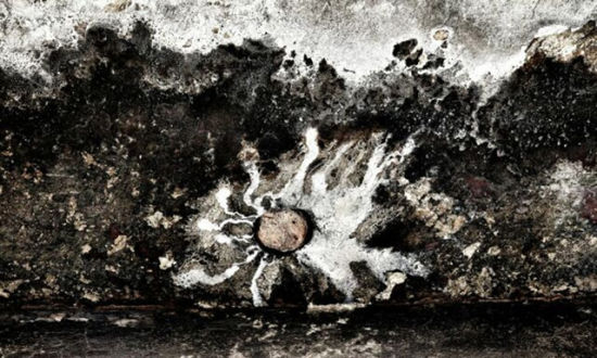 《游泳的太阳》