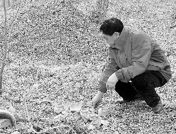 陈景顺在野外收集古瓷片。