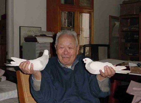 王世襄生前很喜爱鸽子，在2003年10月接受荷兰“克劳斯亲王奖最高荣誉奖”时，王世襄曾作诗：“鸽是和平鸟，哨是和平音；我愿鸽与哨，深入世人心。”