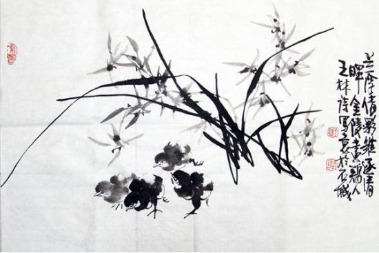 王林诗作品：《雏鸡》
