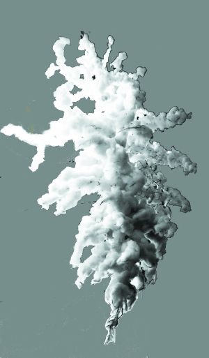 孟祥霞的抽象绘画：悠悠草木心