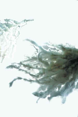 孟祥霞的抽象绘画：悠悠草木心