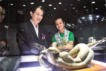 收藏爱好者在欣赏藏品寻宝图 