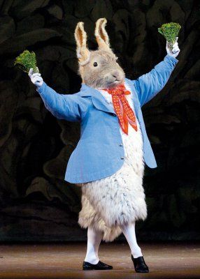 根据《兔子彼得的故事》改编的芭蕾舞剧