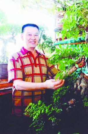 薛平：盆景日月情 