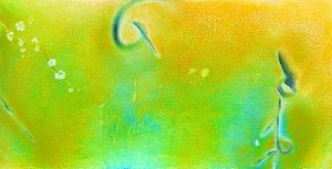 《日记》 40cm×79.5cm 纸本亚克力 2001年