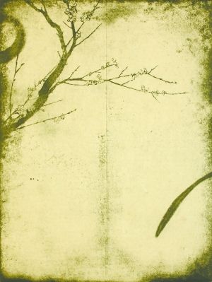 《封尘旧事》 40cm×30cm 铜版设色 2009年