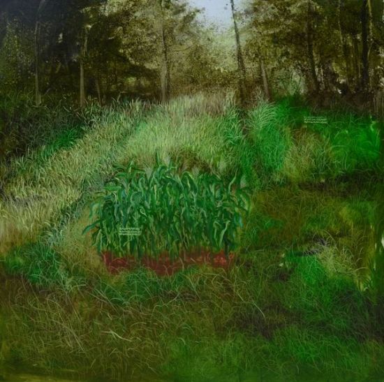 李瑞《空山鸟语催秋收》200x200cm 2011